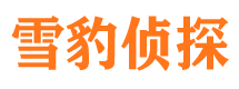 龙胜找人公司